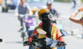 黄淮华北再次出现40℃高温 东北华北多地现雷阵雨