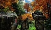 宜丰洞山传说