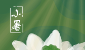 2019年7月7日小暑来临 高温暴雨同时到开启蒸煮模式