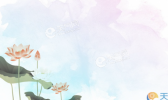 关于24节气小暑的图片 2019小暑节气创意插画图片