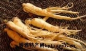 西洋参