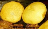贴饽饽熬鱼