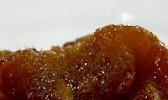 蜜麻花