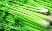 天津实心芹菜