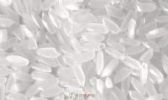 小站稻米
