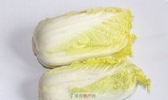 黄芽白菜