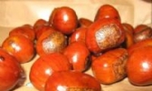 糖炒栗子