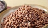 馆陶黑小麦