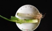 鸡腿大葱
