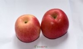 饶阳苹果桃