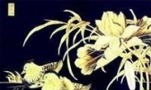 衡水湖苇草工艺品