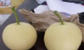 博野黄冠梨