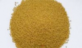 蔚县桃花小米