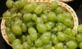 涿鹿葡萄