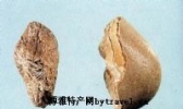 河北马宝