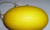 “金都”蜜瓜