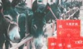 大城县正宗驴肉