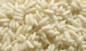 曹妃甸大米