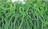 承德山菜