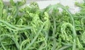 承德蕨菜