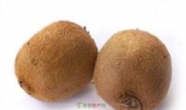 平陆猕猴桃