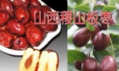 稷山板枣
