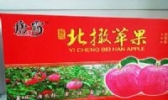 北捍苹果