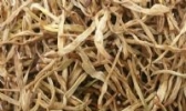 广灵黄花菜