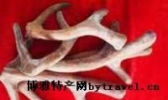 雄鹿