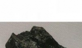 褐  煤