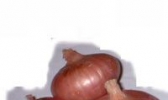 红  葱