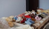 皮绒制品