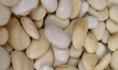 芸豆
