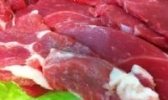 昭乌达肉羊