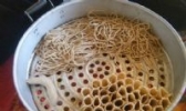 克旗莜麦