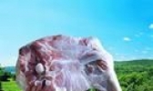 锡林郭勒羊肉