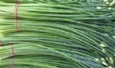 锡林浩特韭菜花