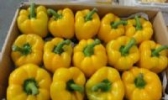 康尔莱蔬菜