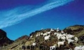 二狼山白绒山羊