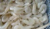呼伦湖秀丽白虾