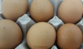 绿壳乌鸡蛋