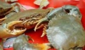 海蟹