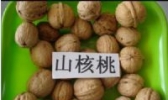 山货野果类