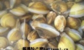 蛤蜊岛沙蚬