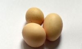 公主屯鸡蛋