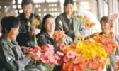 辽中玫瑰