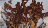 松花湖浪木根雕