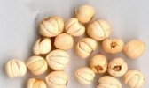 靖宇平贝母
