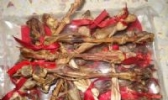 玉龙鞭花