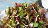 炒山野菜